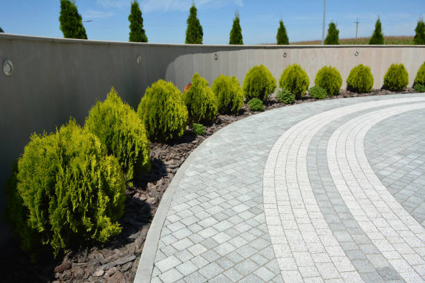Best Decorative Driveway Pavers  in Elizabethtown, KY